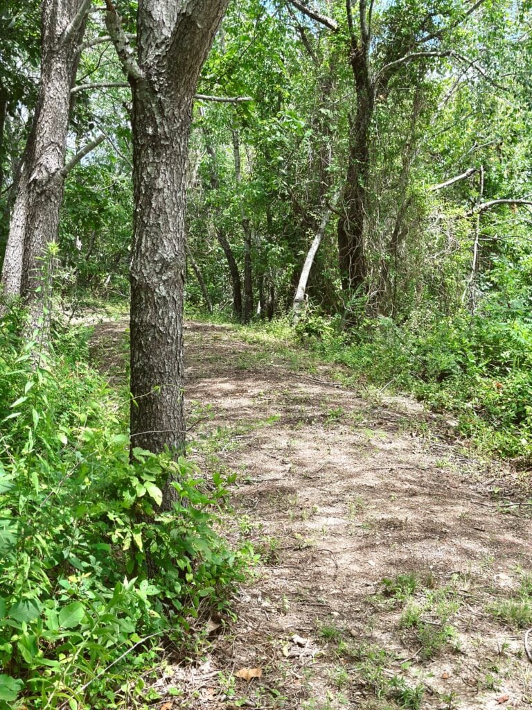 rv parks near lebanon mo