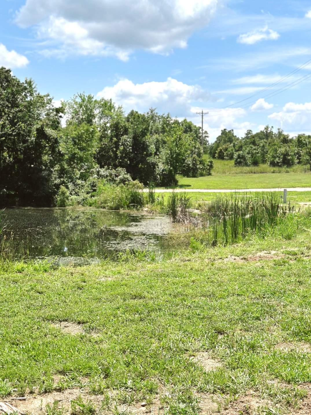 camping near rolla mo